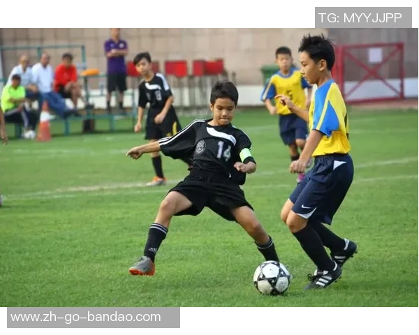 训练足球与比赛足球的区别与联系探讨及其对球员发展的影响分析