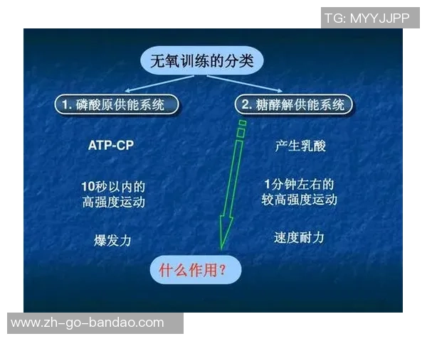 深度分析成都羽毛球队控制打法的战术特点与应用策略